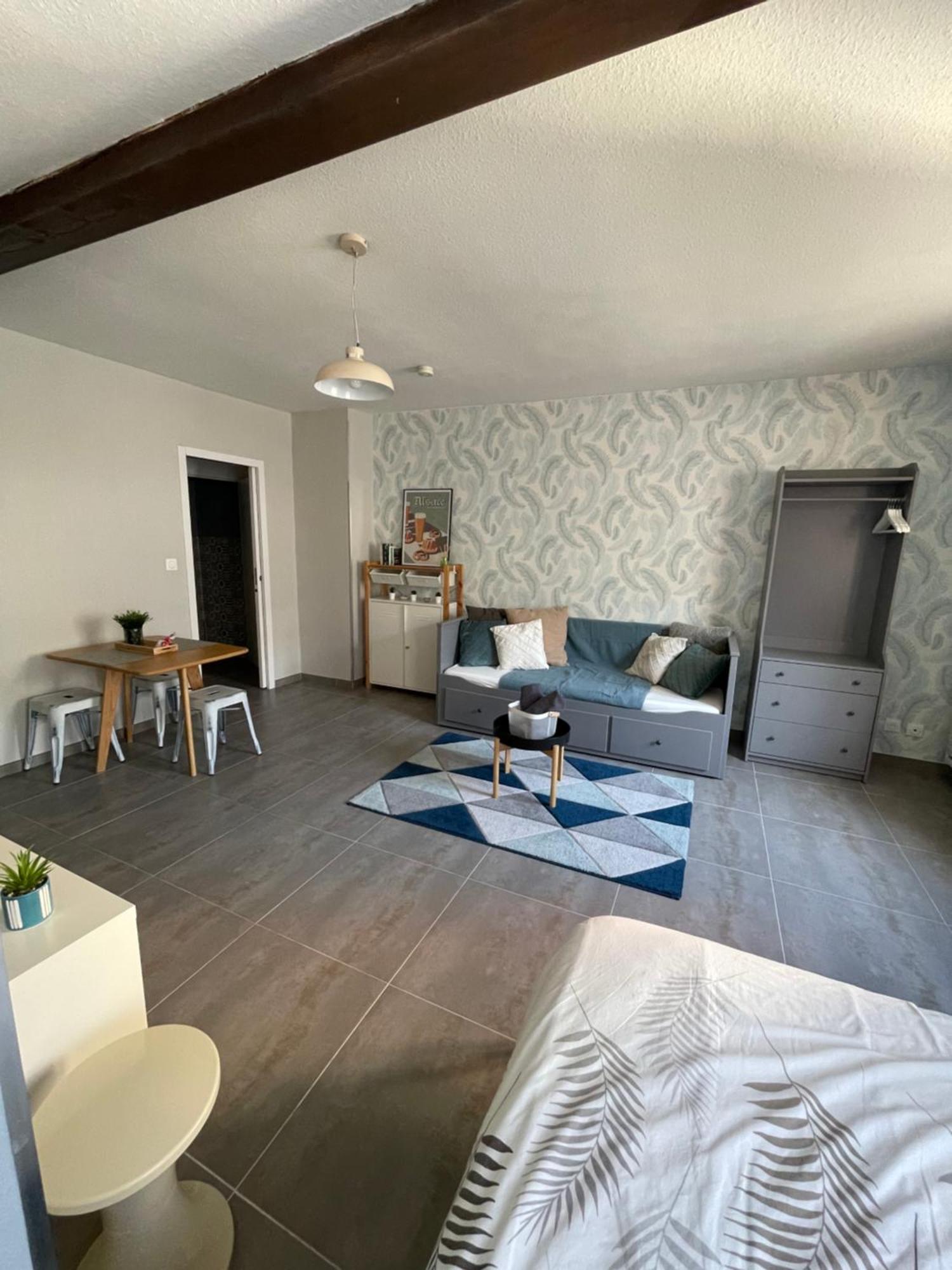 Apartment Les Plumes Strasbourg